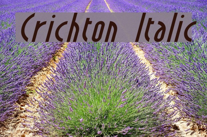 Crichton Italic Font examples