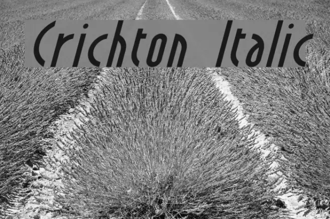 Crichton Italic Font examples