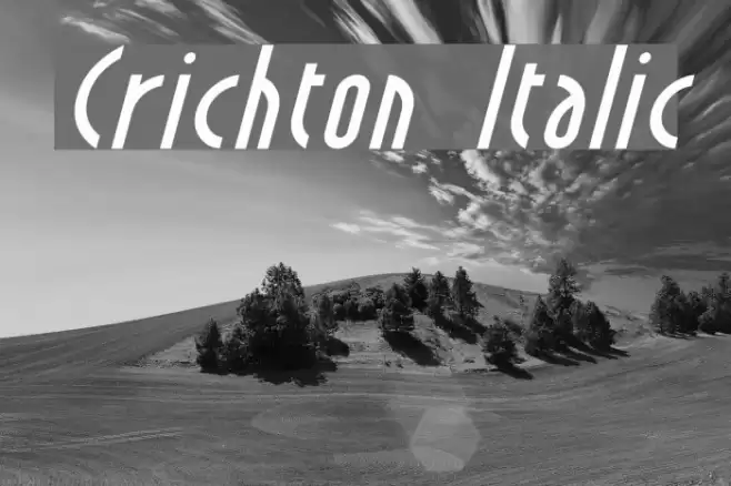 Crichton Italic Font examples