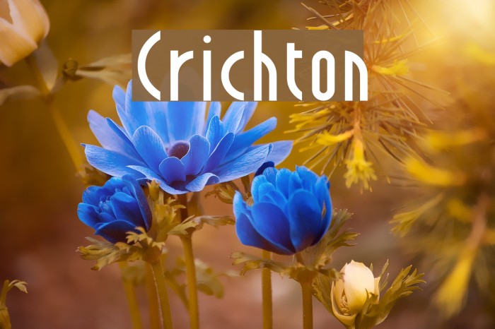 Crichton Schriftart examples