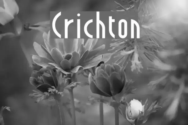 Crichton Schriftart examples