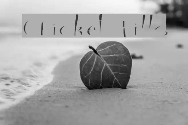Cricket Fills Font examples