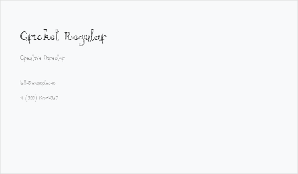 Cricket Regular Business Card