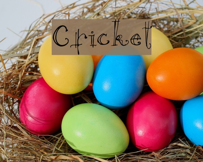 Cricket Font examples