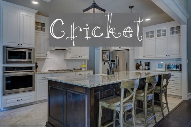 Cricket Example 2