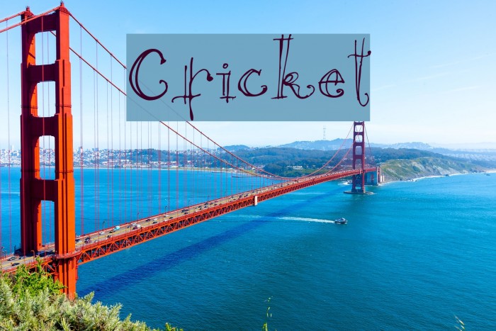 Cricket Font examples