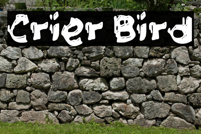 Crier Bird Example 1