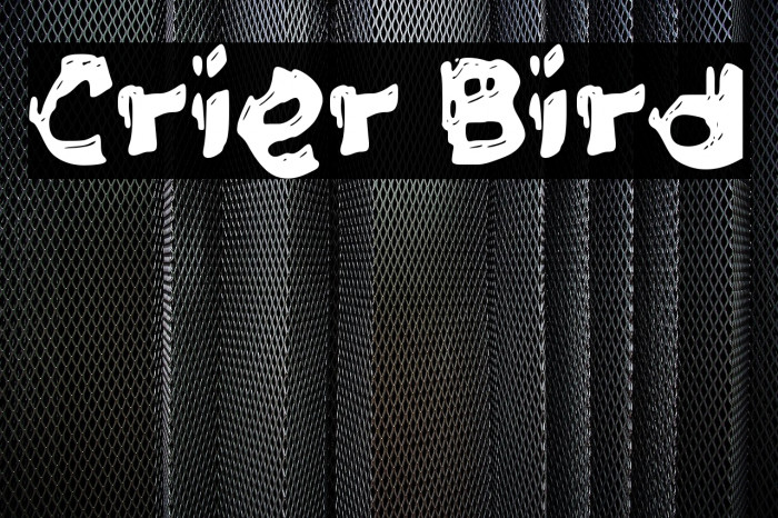 Crier Bird Example 3