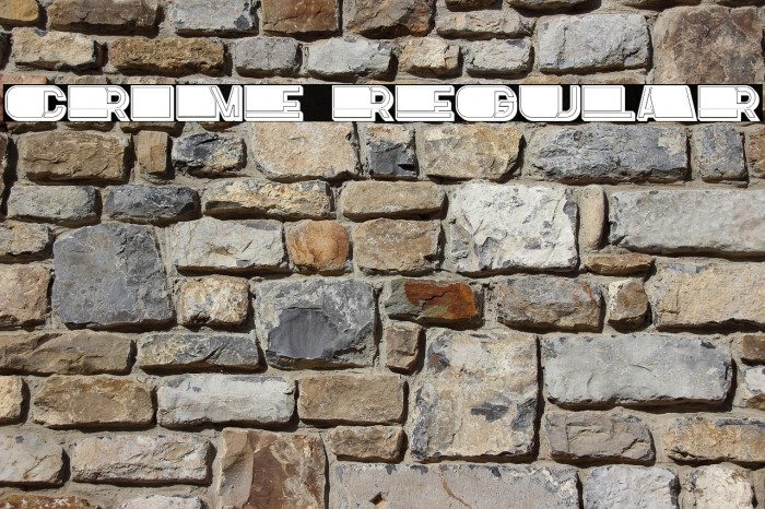 Crime Regular Example 2