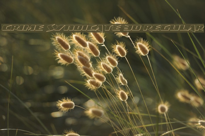 Crime Syndicate 3D Regular Example 2