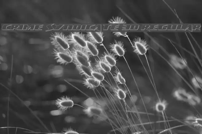 Crime Syndicate 3D Regular Font examples