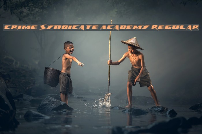 Crime Syndicate Academy Regular Font examples