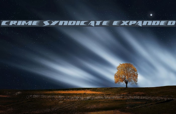 Crime Syndicate Expanded Font examples