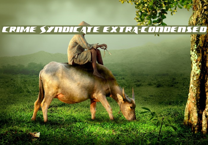 Crime Syndicate Extra-condensed Example 1