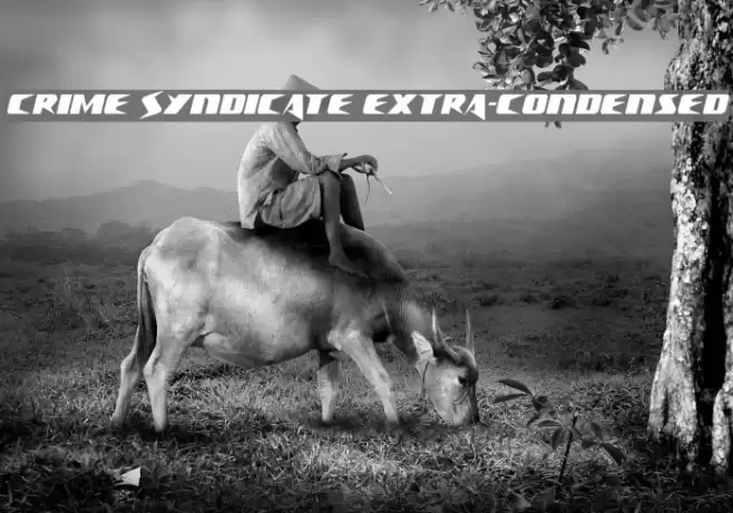 Crime Syndicate Extra-condensed Font examples