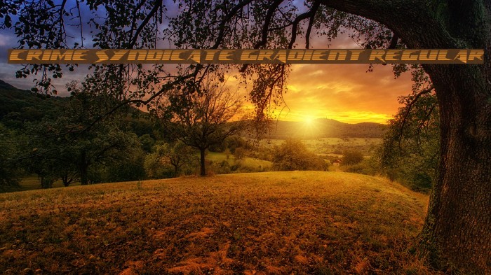 Crime Syndicate Gradient Regular Example 1