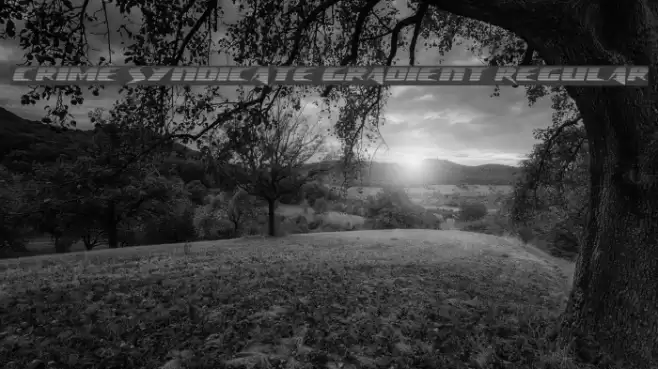 Crime Syndicate Gradient Regular Font examples