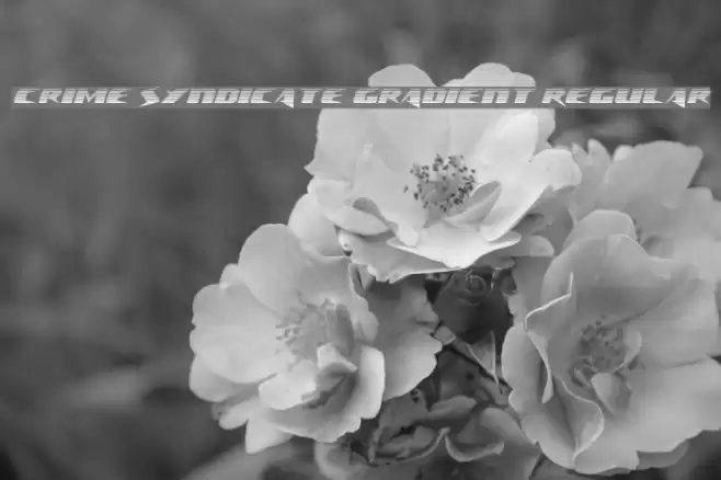 Crime Syndicate Gradient Regular Font examples