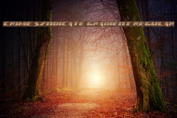 crime syndicate gradient regular 字体