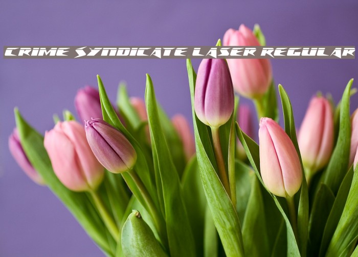 Crime Syndicate Laser Regular Font examples