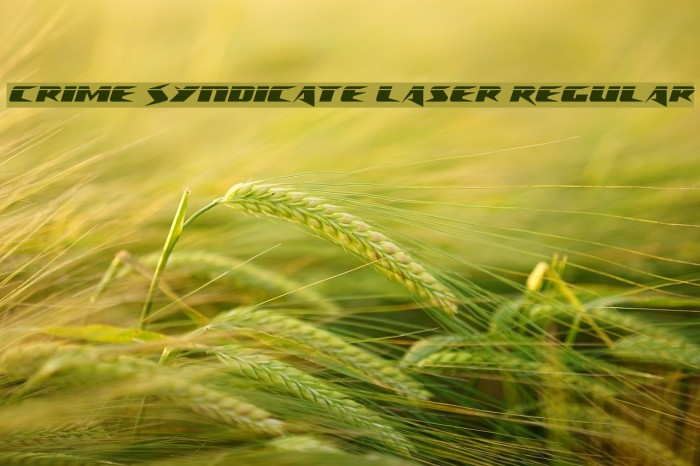 Crime Syndicate Laser Regular Font examples