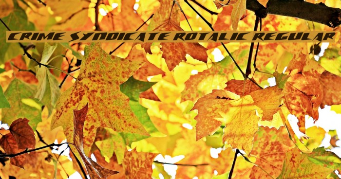 Crime Syndicate Rotalic Regular Font examples