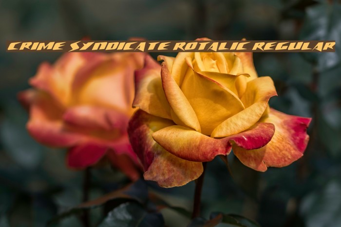 Crime Syndicate Rotalic Regular Font examples