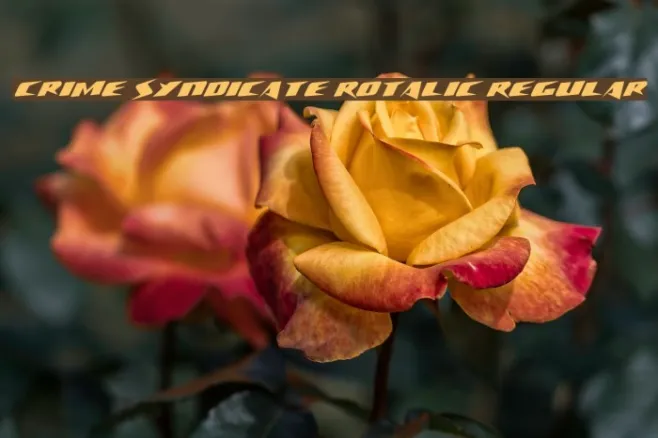 Crime Syndicate Rotalic Regular Example 2