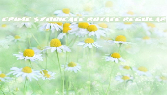 Crime Syndicate Rotate Regular Example 2