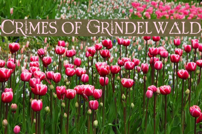 Crimes of Grindelwald Example 1