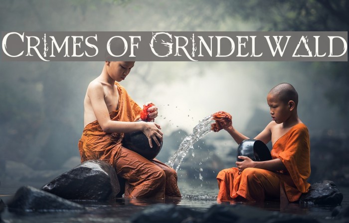 Crimes of Grindelwald Example 2