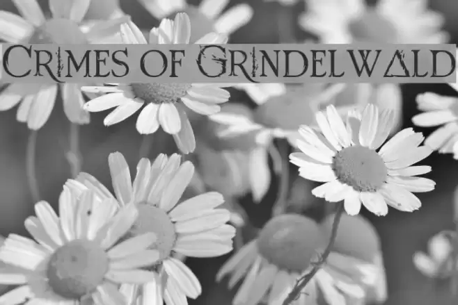 Crimes of Grindelwald Font examples