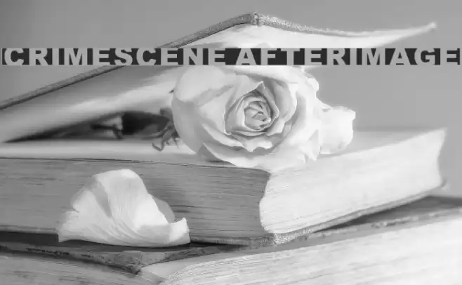 Crimescene Afterimage Polices examples