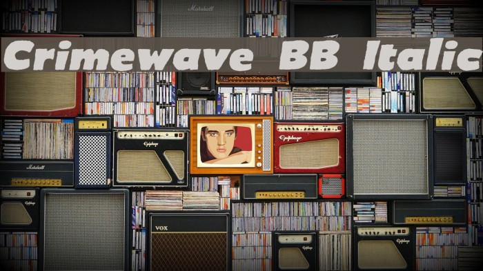 Crimewave BB Italic Font examples