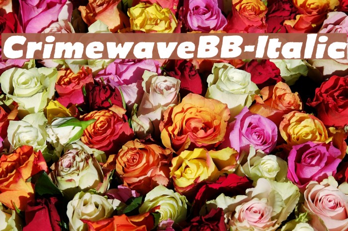 CrimewaveBB-Italic Example 3