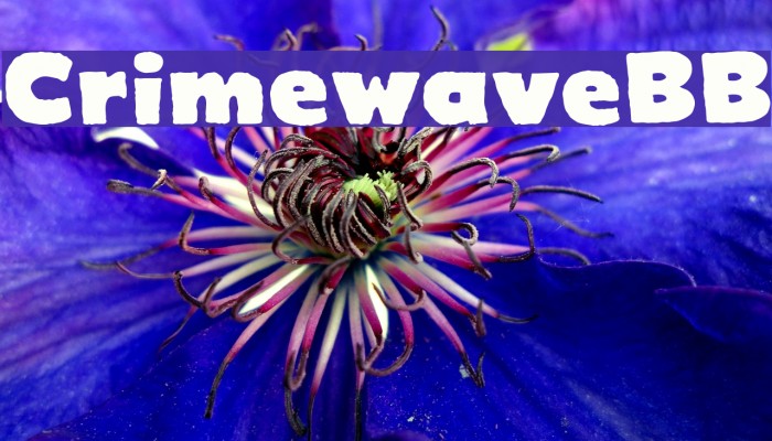 CrimewaveBB Example 1