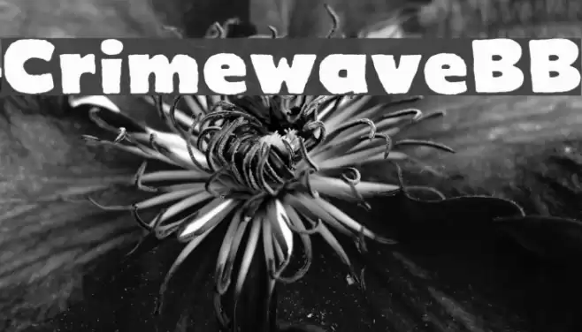 CrimewaveBB Font examples