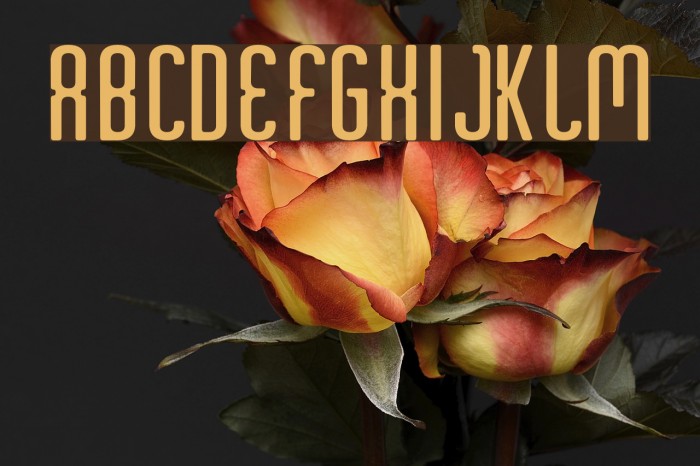 Criminal Upright Font examples