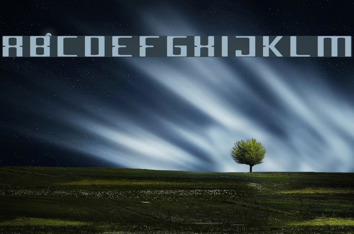 Criminal Wide Example 2