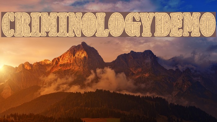 CriminologyDemo Example 1
