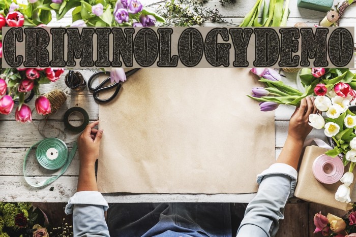 CriminologyDemo Example 3