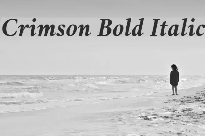 Crimson Bold Italic Font examples