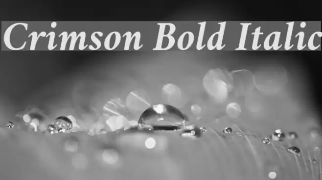 Crimson Bold Italic Font examples