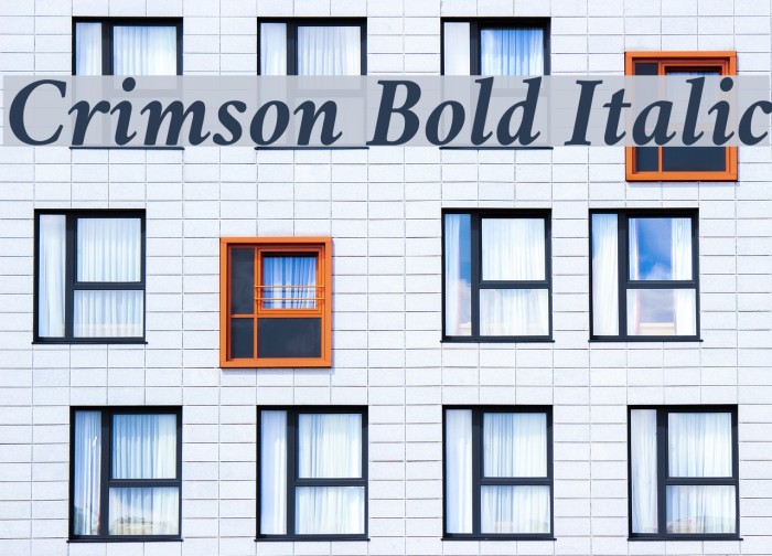 Crimson Bold Italic Font examples
