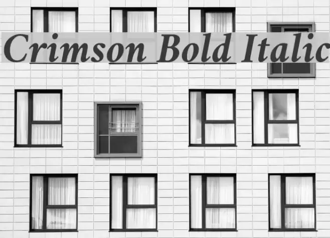 Crimson Bold Italic Font examples