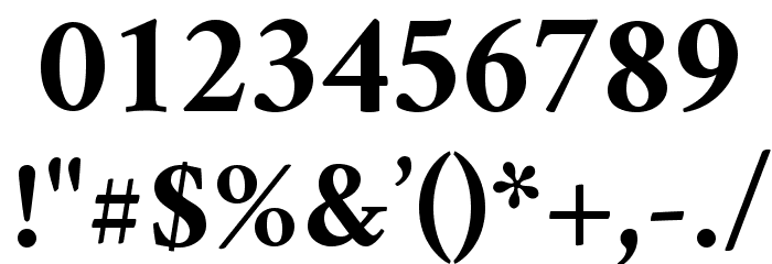 Crimson Bold Font OTHER CHARS
