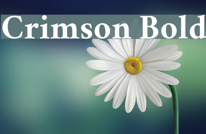 Crimson Bold Font examples
