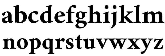 Crimson Bold Font LOWERCASE