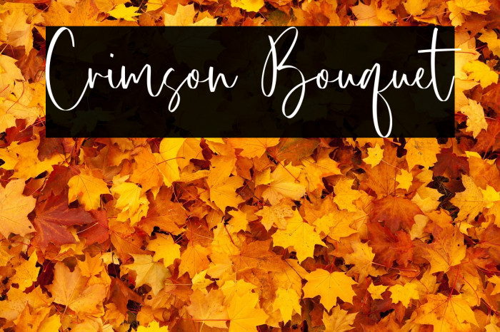 Crimson Bouquet Example 3