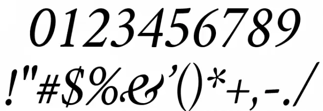 Crimson Italic Font OTHER CHARS